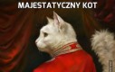 Majestatyczny kot