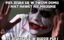 Pies zesra się w Twoim domu i nikt nawet nie mrugnie