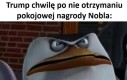 Sami chcieliście