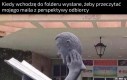 Muszę mieć pewność, że będzie mu się podobało