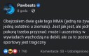 A Wy lubicie gale MMA?
