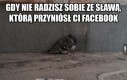 To się dzieje za szybko