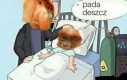 Jak tam u Was pogoda?