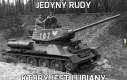 Jedyny rudy