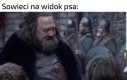Łajka