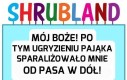 Mózg też uległ wypadkowi
