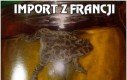 Import z Francji
