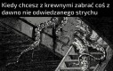 Trochę się tam zalęgło