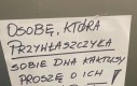 Już ich nie zobaczysz łobuzie