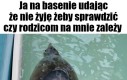 Ciekawe czy się zorientują