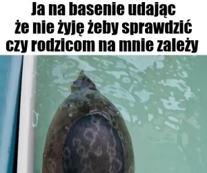 Ciekawe czy się zorientują