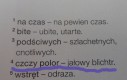 Autentyk z podręcznika od polskiego
