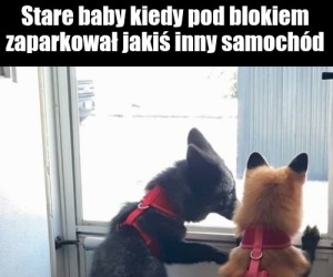 Ciekawe do kogo i po co
