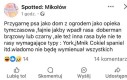 Czyli nie chce ziomek Frediego Kamionki