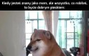 Każdy pieseł na jego miejscu zrobiłby to samo