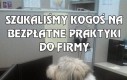 Szukaliśmy kogoś na bezpłatne praktyki do firmy