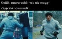 Fajterzy