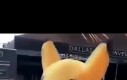 Charizaza