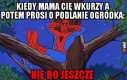 Nie i już!