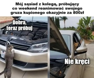 Gruzja