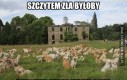 Szczyt zła