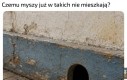 Co się zmieniło?