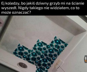 Ej koledzy