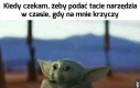 Komu świecisz?!