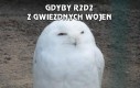 Gdyby R2D2 z Gwiezdnych Wojen był...