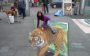 Iluzja na chodniku - Tygrys