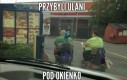 Po skrzydełko!