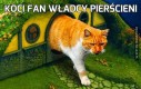 Koci fan Władcy Pierścieni