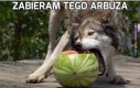 Zabieram tego arbuza