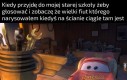 W sumie to nie ma teraz wyborów poza krakowskimi ale jednak