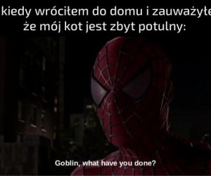 Gadaj albo zrobię z ciebie mrożonkę