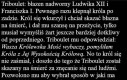 Dobry błazen