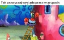 Którym jesteś?