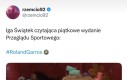 Następna z paletkom