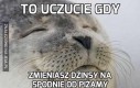 To uczucie gdy