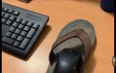 Tymczasem na biurku nigeryjskiego księcia, który wysyłał ci maile