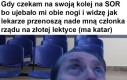 Równi i równiejsi