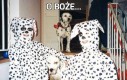 O Boże...