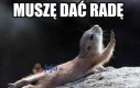 Muszę dać radę