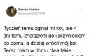 Zdziwienie kota musiało być wielkie