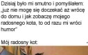 Blue Monday w pełni