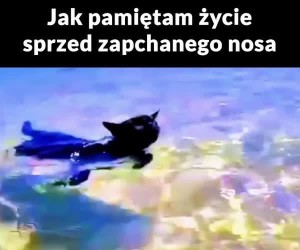 Nienawidzę alergii