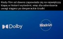 Cały budżet poszedł na królika