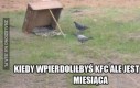 Niskobudżetowe KFC