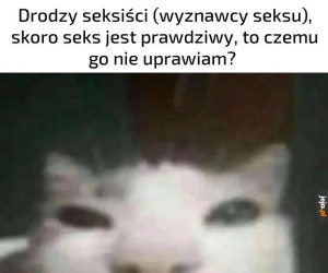 Poważne pytanie dla Seksistów z Metra