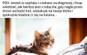 Teraz to już nawet Spider-Man nie zdąży przyjść